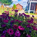 Karczma Rybna Rybaczowka Marina 3* Swinoujscie